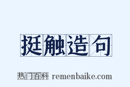 挺触造句是什么意思的图片